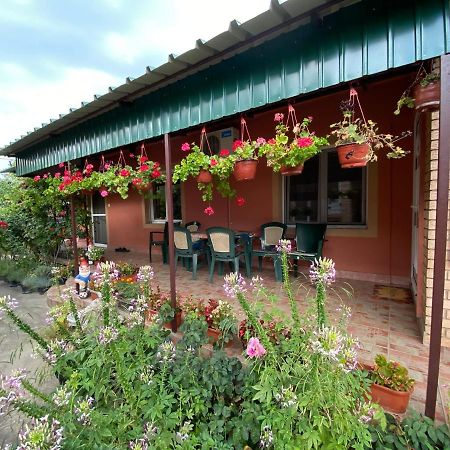 Sud ,,Antal I Olga,, Bed & Breakfast Skorenovac Exterior photo