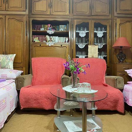Sud ,,Antal I Olga,, Bed & Breakfast Skorenovac Room photo