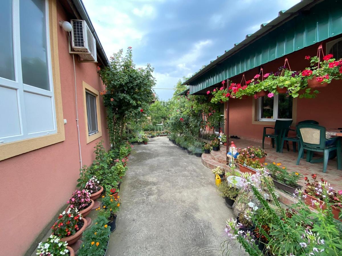 Sud ,,Antal I Olga,, Bed & Breakfast Skorenovac Exterior photo
