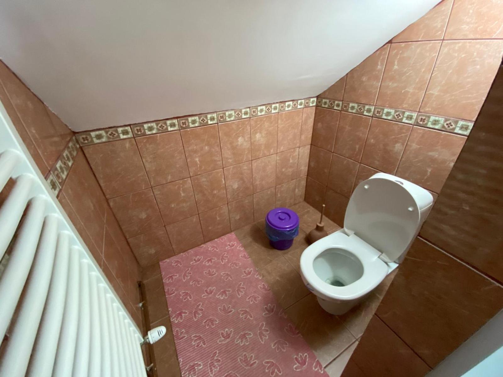 Sud ,,Antal I Olga,, Bed & Breakfast Skorenovac Room photo